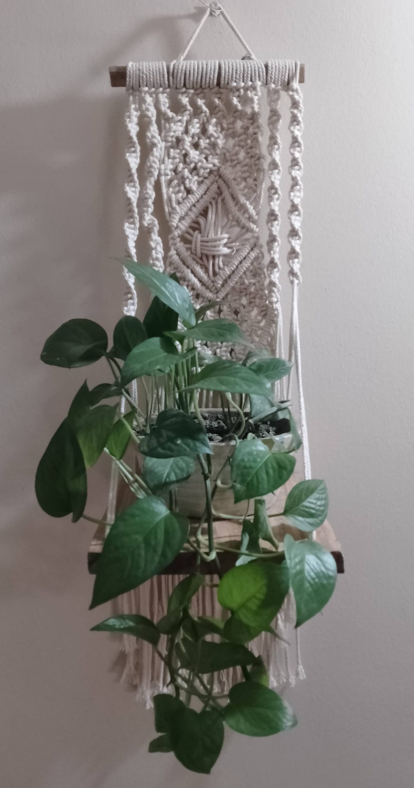 Macrame planter hanging - Image 2